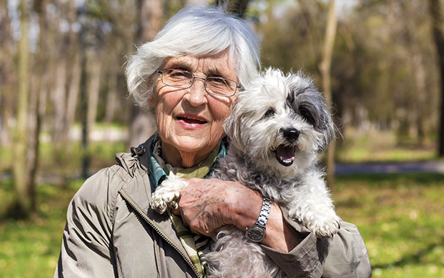 national-pet-month