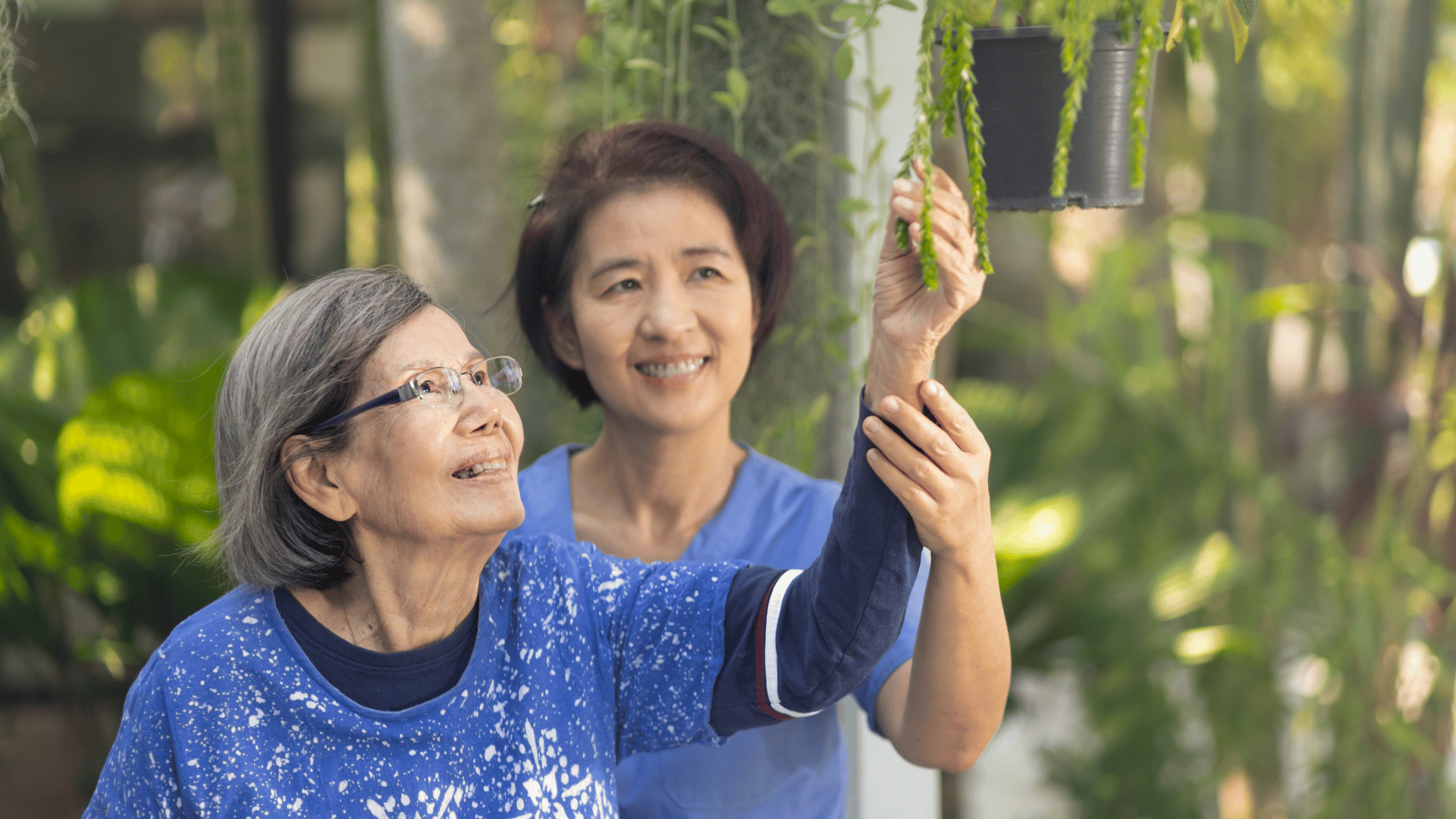 live-in care from Avelon Live In Care